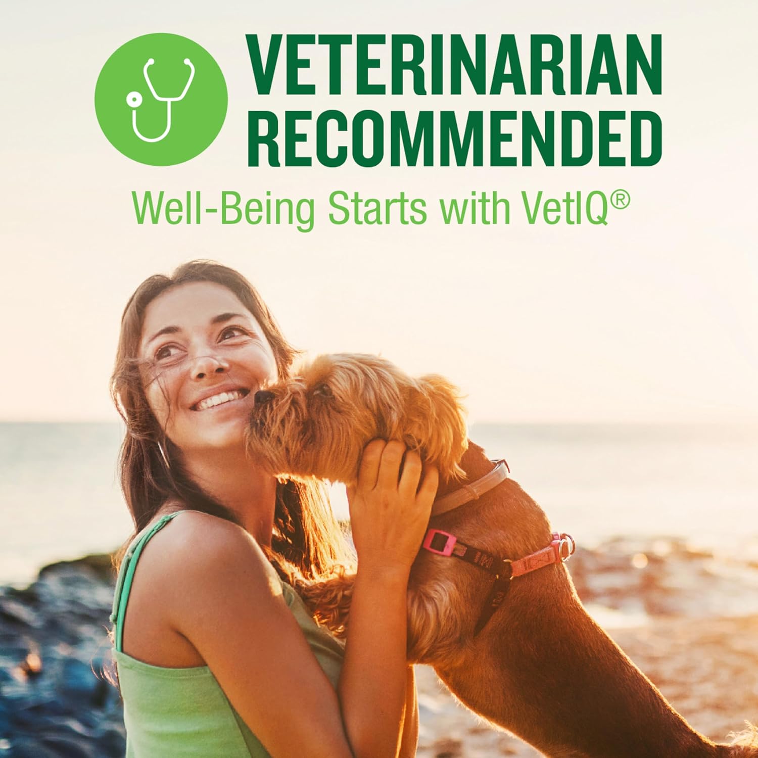 VetIQ Calming Support Supplement for Dogs, Calming Chews Help Manage Stress and Promote Relaxation, Anxiety Relief for Dogs, Made in The USA, 60 Count