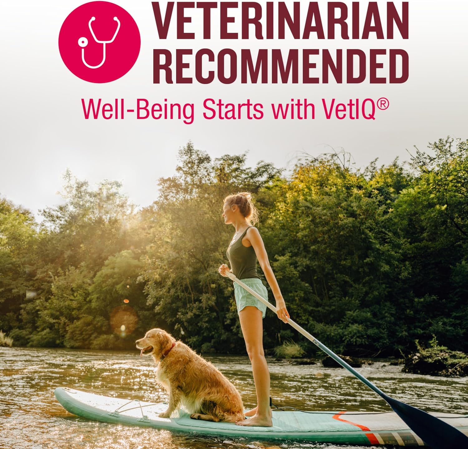 VetIQ Calming Support Supplement for Dogs, Calming Chews Help Manage Stress and Promote Relaxation, Anxiety Relief for Dogs, Made in The USA, 60 Count