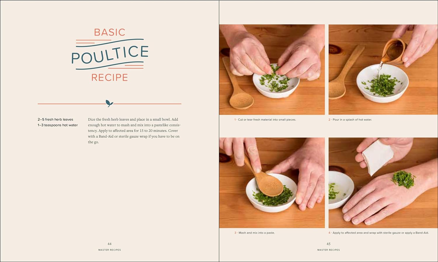 Master Recipes from the Herbal Apothecary: 375 Tinctures, Salves, Teas, Capsules, Oils, and Washes for Whole-Body Health and Wellness     Paperback – Illustrated, March 19, 2019