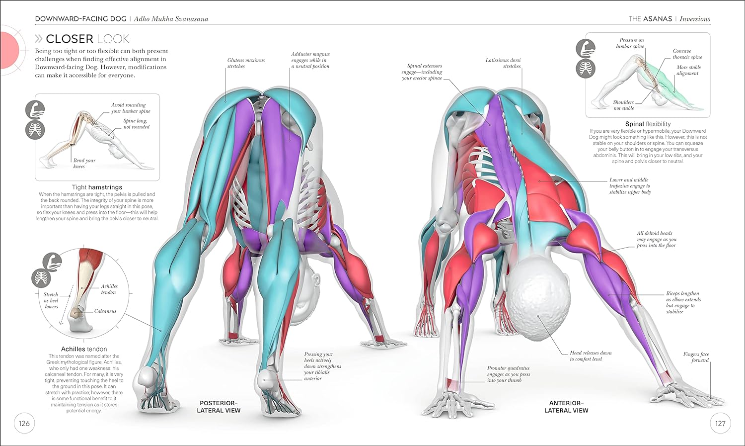Science of Yoga: Understand the Anatomy and Physiology to Perfect Your Practice (DK Science of)     Paperback – Illustrated, January 8, 2019