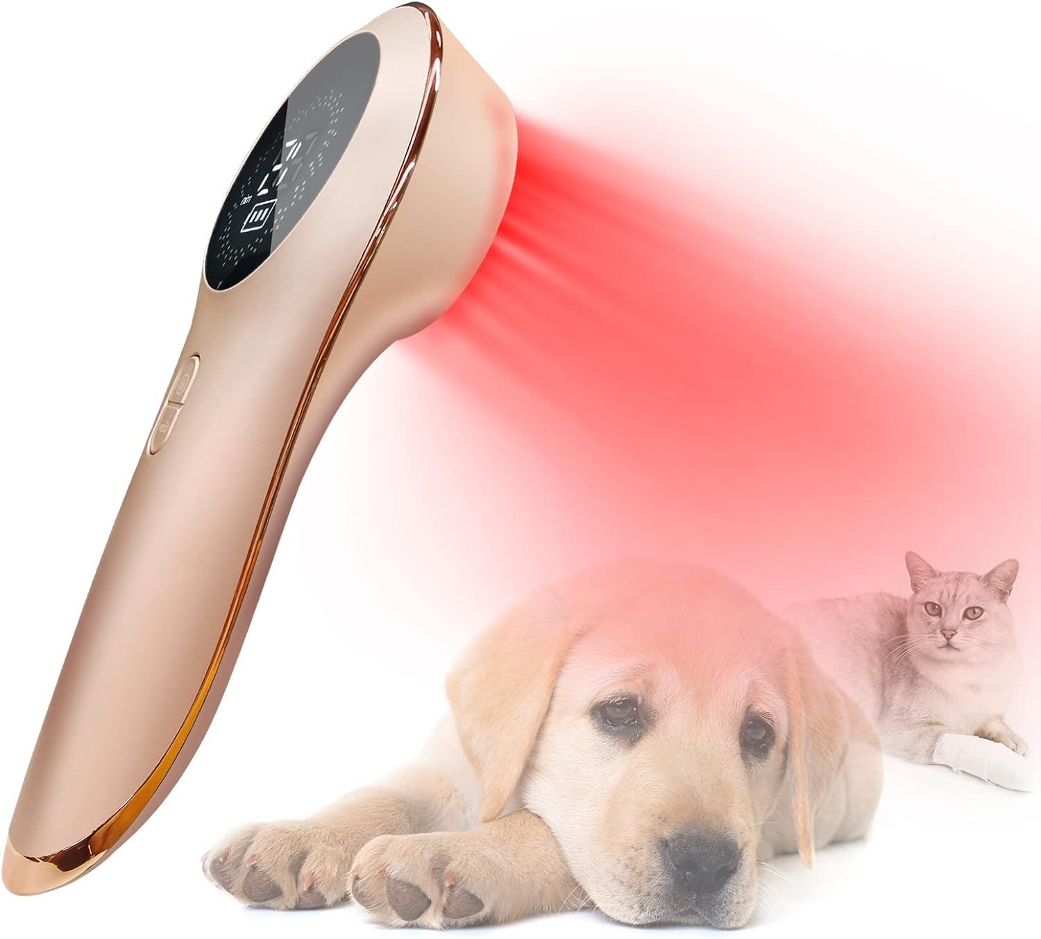 Coldlaser Veterinary Physiotherapy Vet Use Device, Muscle  Joint Pain Relieve Treat Arthritis, Portable Infrared Red Light Machine with 5*808nm  11*650nm Wavelength for Pet Dog, Cat, Horse, Cattle