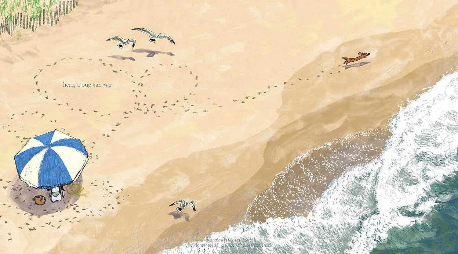 Hot Dog: (Winner of the 2023 Caldecott Medal) Hardcover – Picture Book, May 24, 2022 Hot Dog: (Winner of the 2023 Caldecott Medal) Hardcover – Picture Book, May 24, 2022