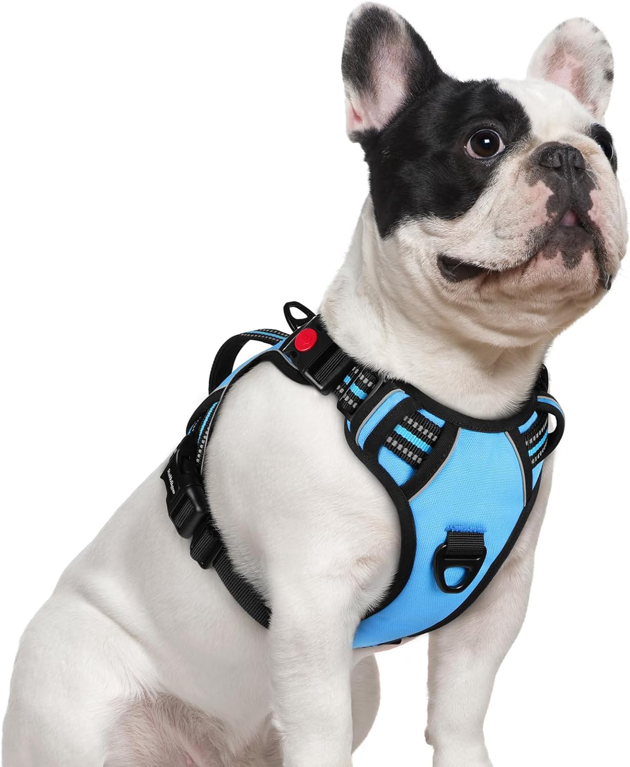 rabbitgoo Dog Harness for Large Dogs, No Pull Pet Harness with Soft Padded Handle, Adjustable Reflective Vest with 3 Buckles, Easy Walking Harness with 2 Leash Clips, Red, L