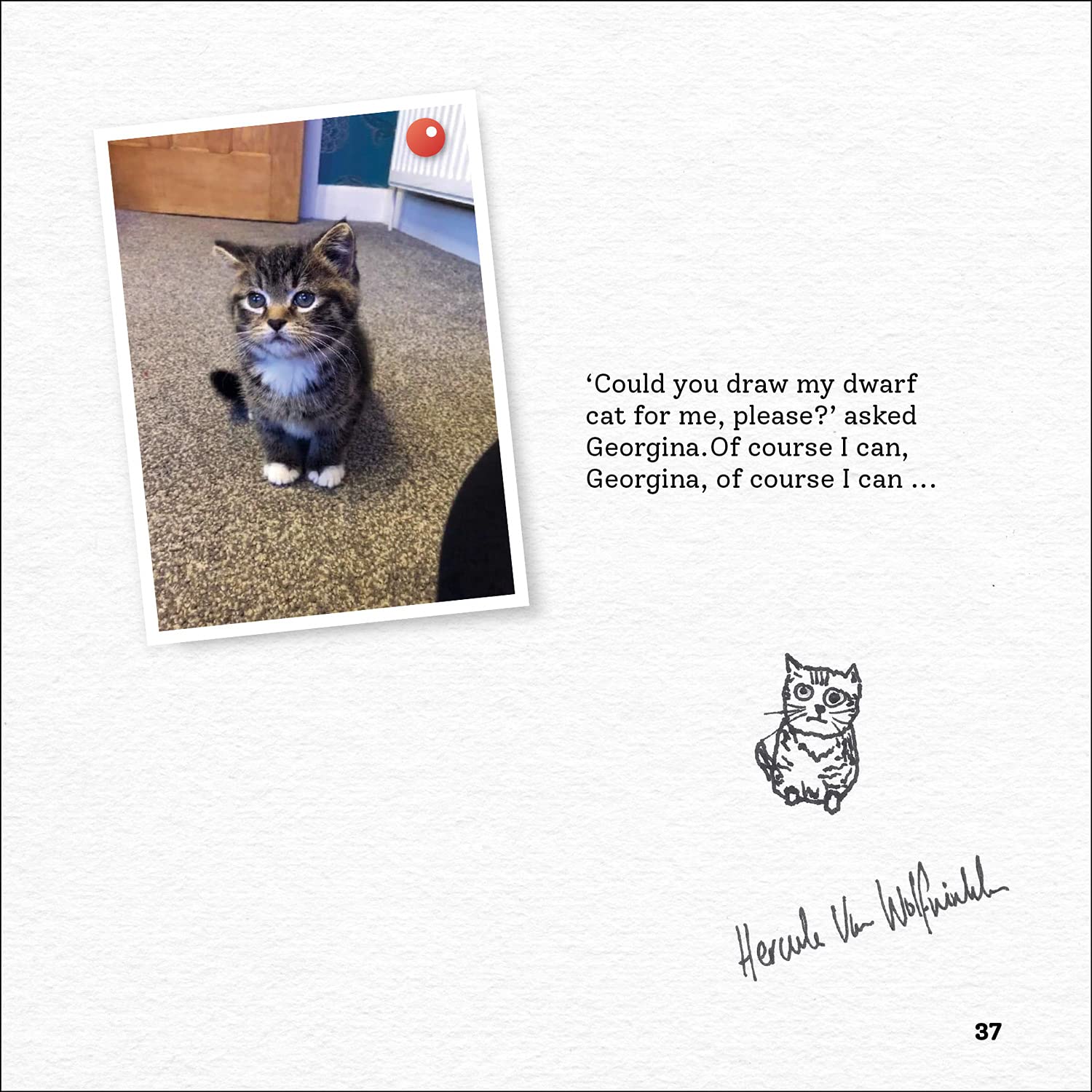 Rubbish Pet Portraits     Hardcover – September 7, 2021