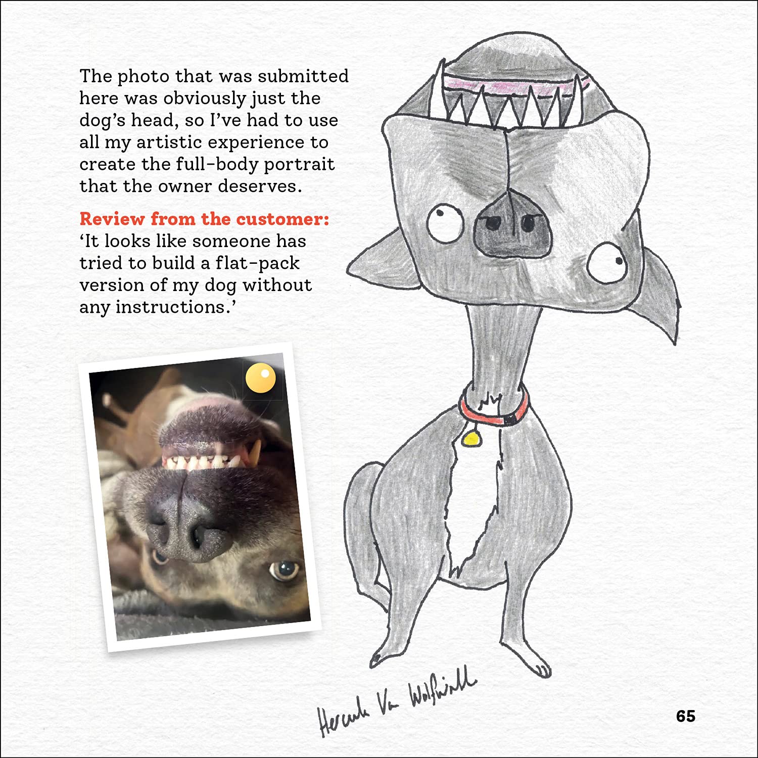 Rubbish Pet Portraits     Hardcover – September 7, 2021