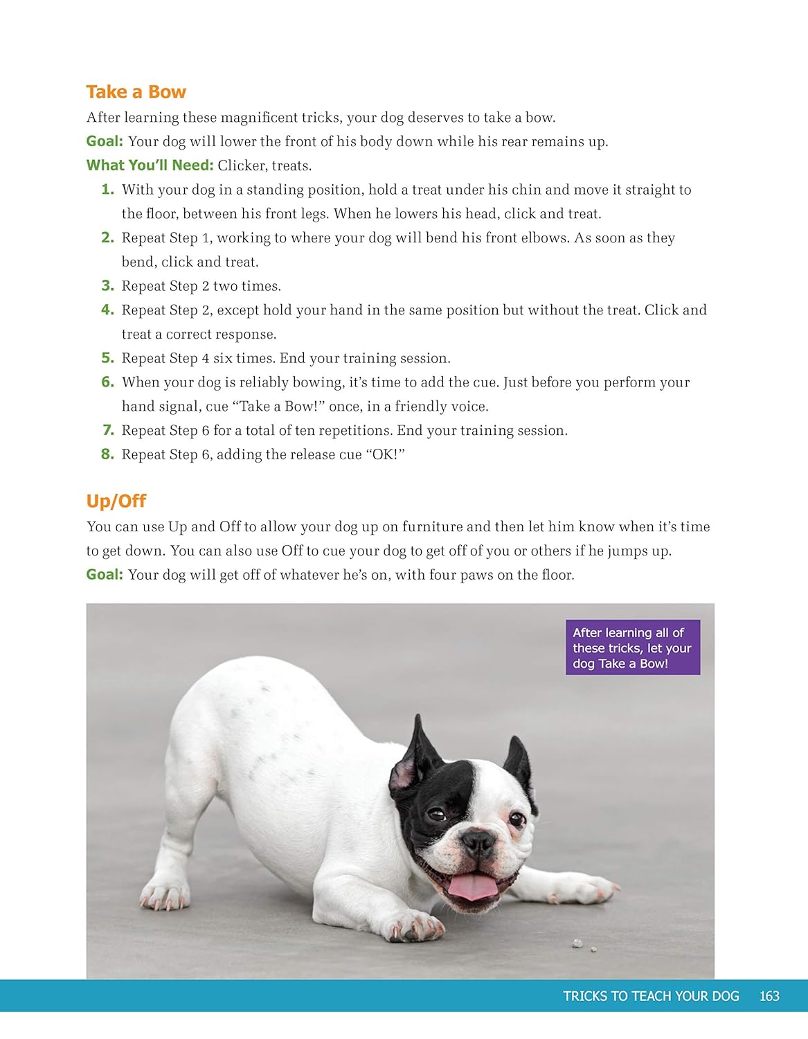 Ultimate Guide to Dog Training: Puppy Training to Advanced Techniques Plus 25 Problem Behaviors Solved! (CompanionHouse Books) Manners, House-training, Tricks, and More, with Positive Reinforcement     Paperback – February 1, 2021