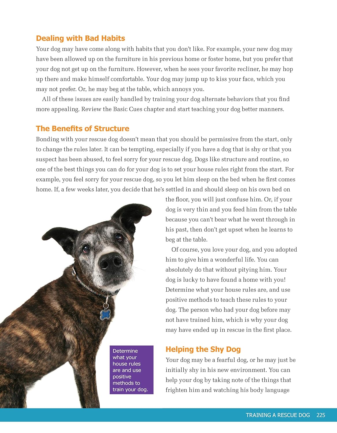 Ultimate Guide to Dog Training: Puppy Training to Advanced Techniques Plus 25 Problem Behaviors Solved! (CompanionHouse Books) Manners, House-training, Tricks, and More, with Positive Reinforcement     Paperback – February 1, 2021