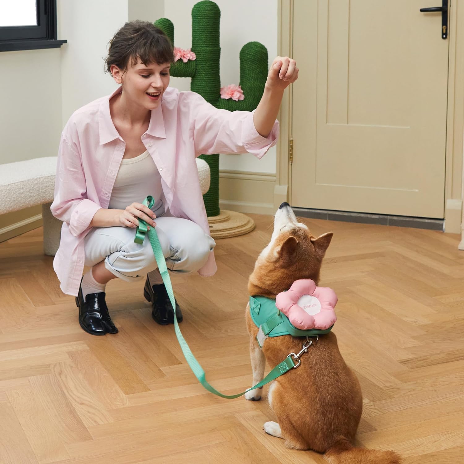VETRESKA Flora Dog Harness, Leash and Collar Set, No Pull Dog Vest Harness for Walking and Training, Adjustable, Easy Control and Soft Padded Pet Harness and Backpack for Small Medium Large Dogs, M