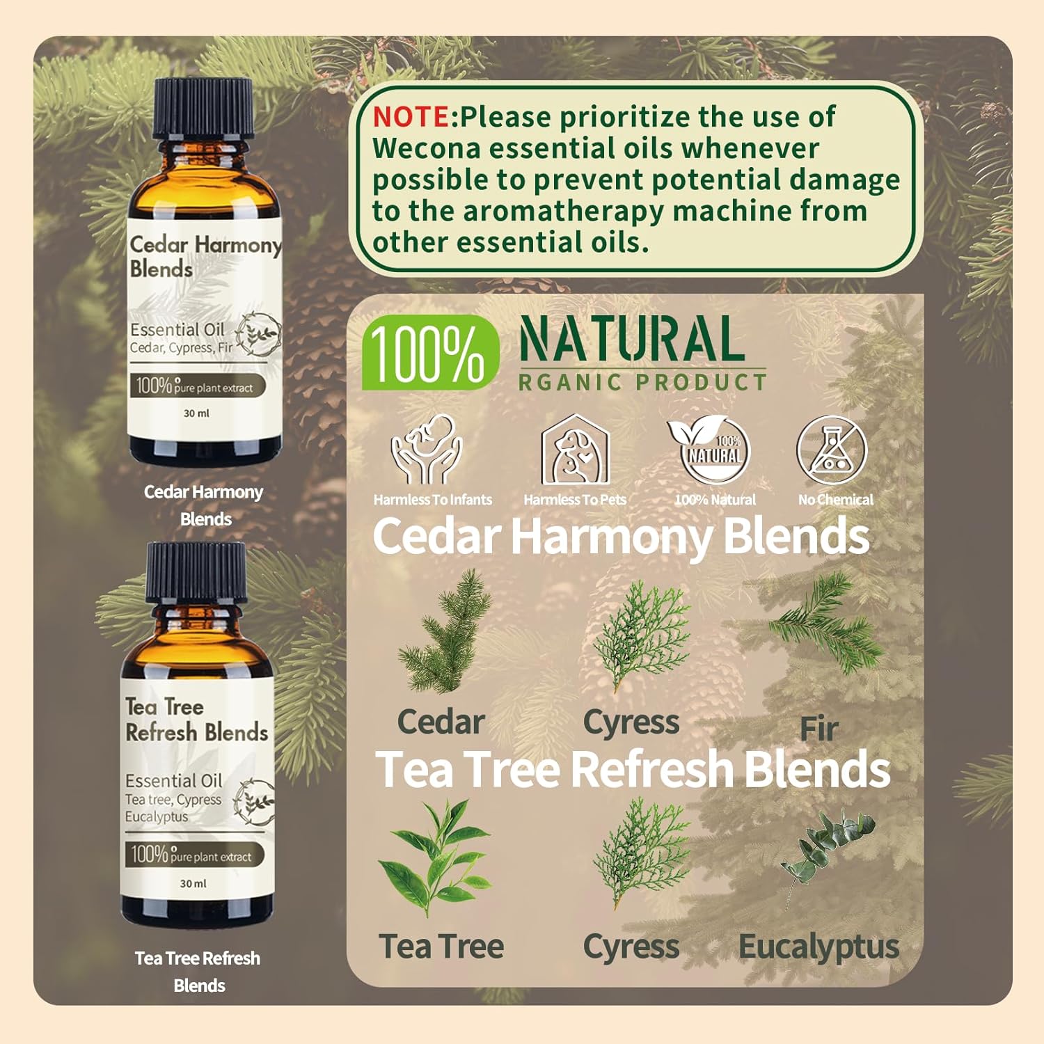 Rechargeable Waterless Essential Oil Diffuser - 2 Mist Modes Battery Operated Waterless Diffusers with 2 Essential Oils(30ml) for Home,Car,Office - 8 Hours Automatic Shutdown Diffusers